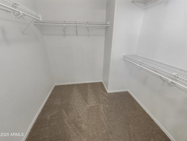 spacious closet with carpet floors