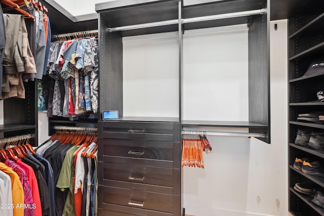 view of walk in closet