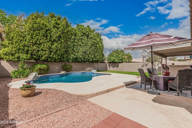 view of pool featuring a patio area, a fenced in pool, and a fenced backyard