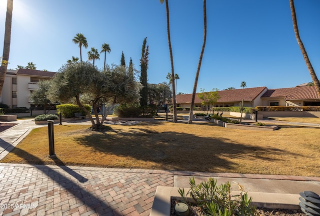 view of property's community with a yard
