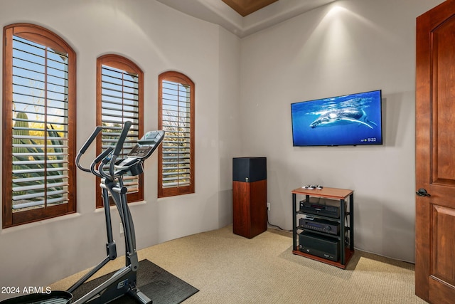 workout room with carpet flooring