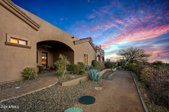 view of yard featuring a patio and a ceiling fan