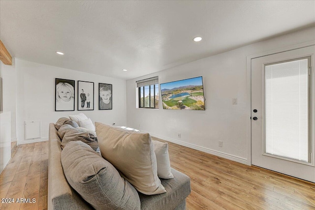 living room featuring light hardwood / wood-style flooring