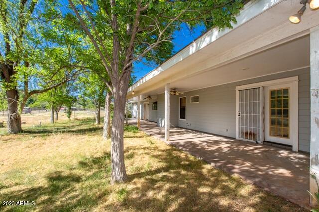 view of yard featuring ceiling fan and a patio area