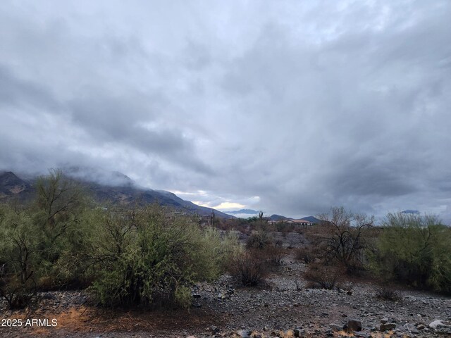 10540 S 32nd Dr, Laveen, AZ 85339 - view of mountain background