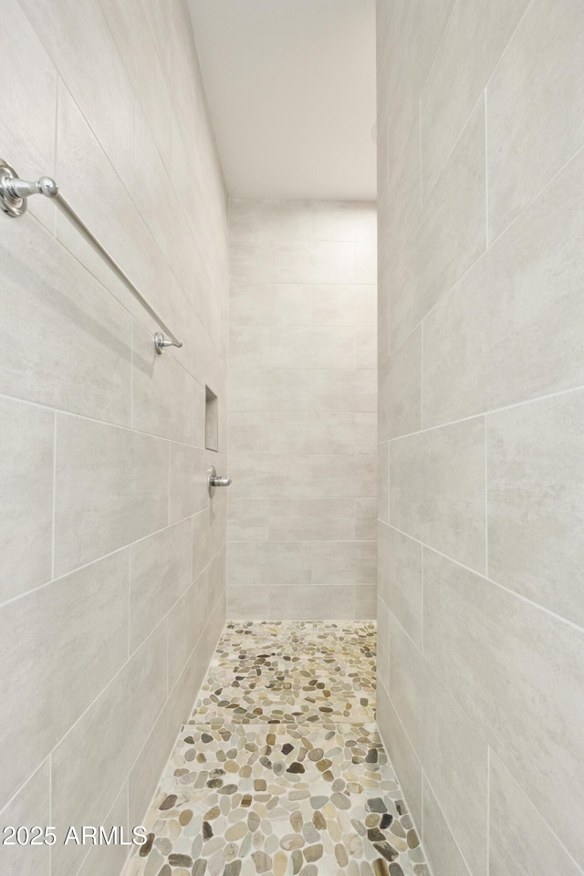 10540 S 32nd Dr, Laveen, AZ 85339 - full bath featuring tiled shower
