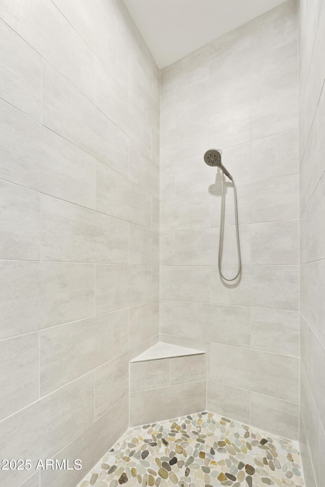 10540 S 32nd Dr, Laveen, AZ 85339 - full bath with a tile shower