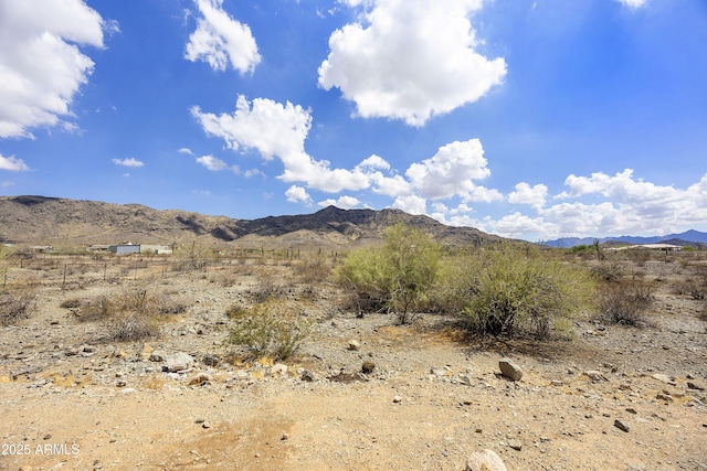 10540 S 32nd Dr, Laveen, AZ 85339 - mountain view