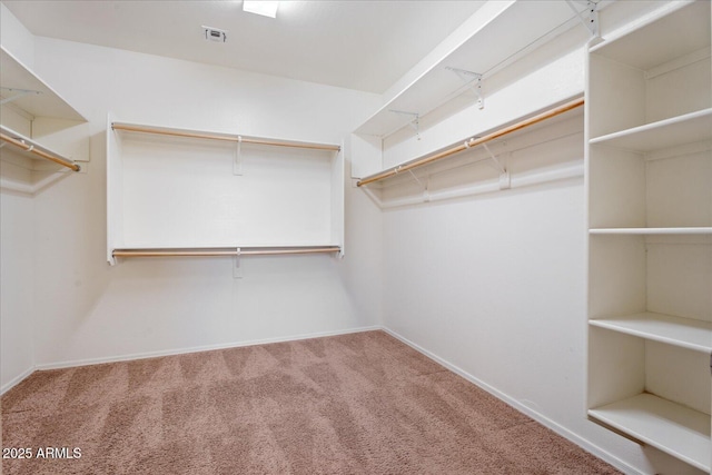 spacious closet with carpet flooring