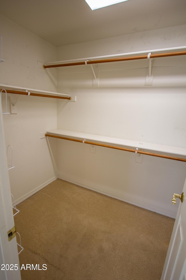 spacious closet featuring light carpet