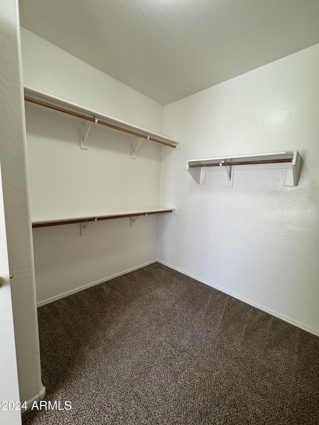 walk in closet with carpet floors