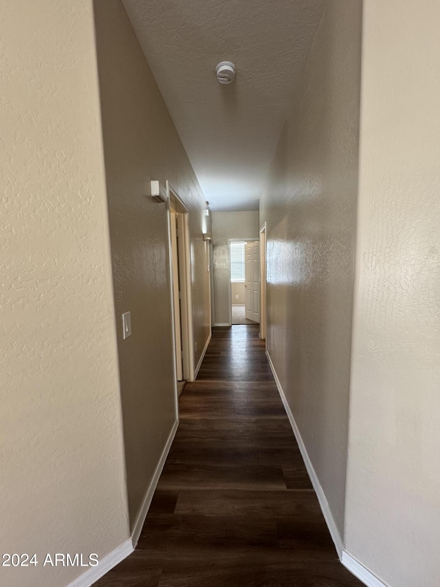 hall featuring dark hardwood / wood-style floors