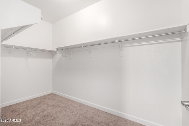 23789 W Chipman Rd, Buckeye, AZ 85326 - walk in closet featuring carpet