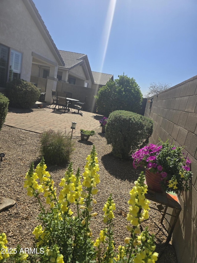 view of yard with a fenced backyard and a patio