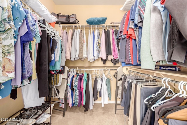 walk in closet with carpet