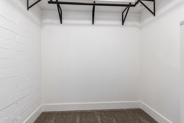 walk in closet with carpet