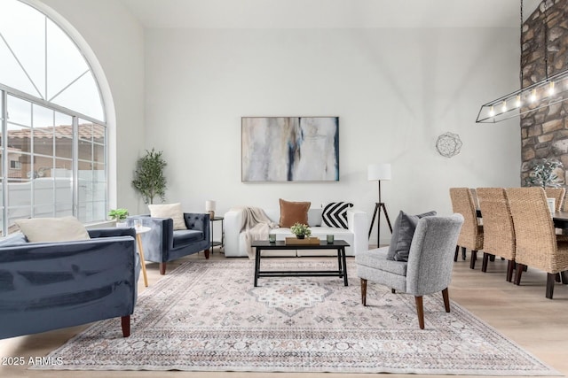 living room with hardwood / wood-style floors