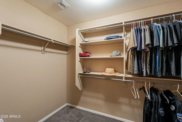 walk in closet with carpet