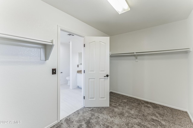 spacious closet featuring carpet