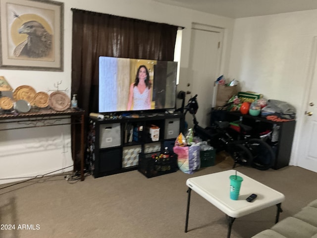 living area with carpet