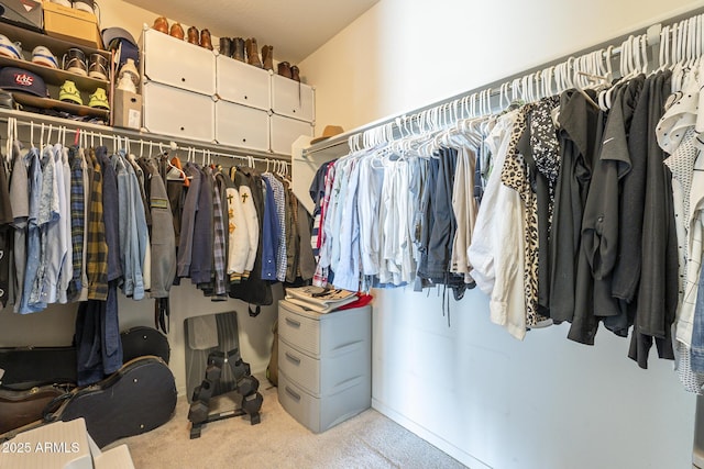 spacious closet featuring light colored carpet