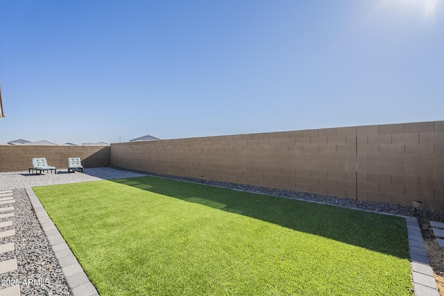 view of yard featuring a patio