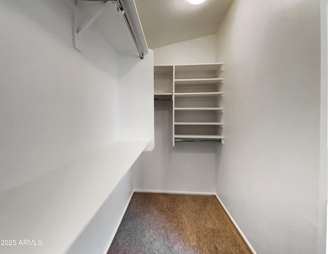 spacious closet featuring carpet floors