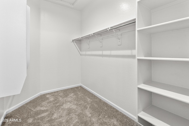 spacious closet with carpet flooring