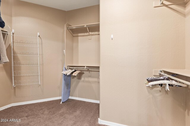 spacious closet with carpet flooring