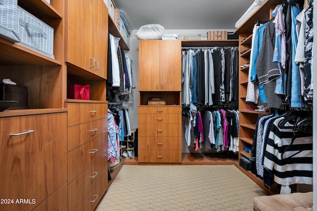 view of spacious closet