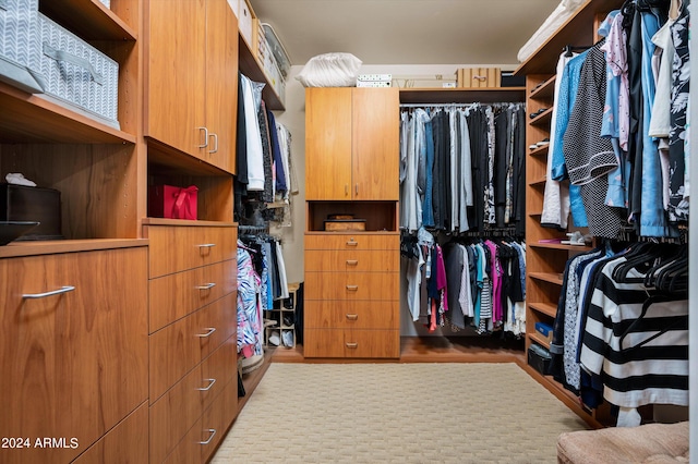 view of walk in closet