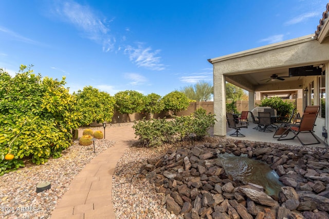 view of yard featuring ceiling fan and a patio area