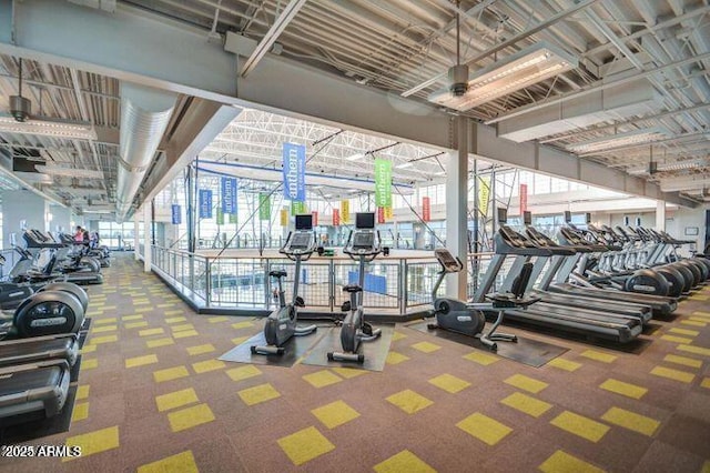 exercise room with carpet