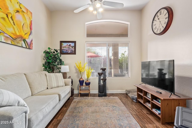 living room with ceiling fan and dark hardwood / wood-style flooring