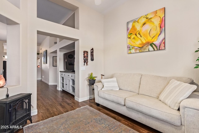 living room featuring dark hardwood / wood-style floors and a wood stove