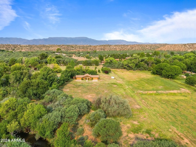 drone / aerial view featuring a mountain view