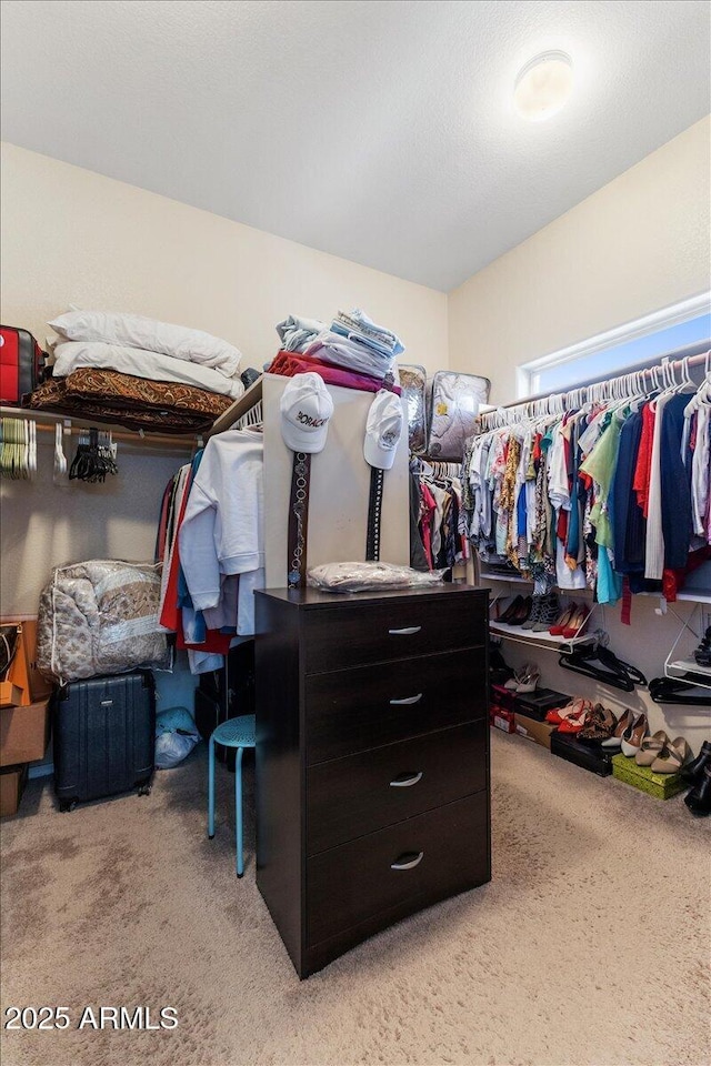 5212 S Monte Vista St, Chandler, AZ 85249 - walk in closet with light colored carpet