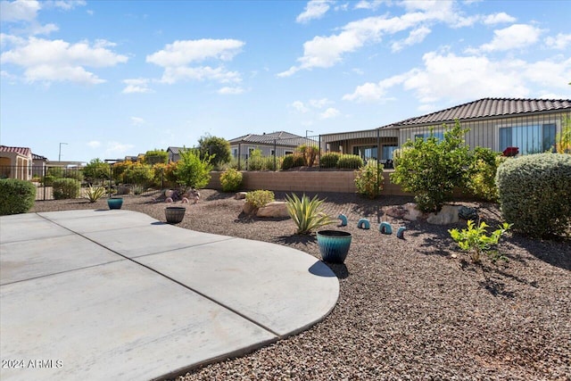 view of yard featuring a patio