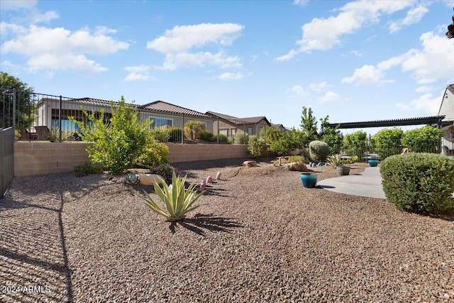 view of yard featuring a patio