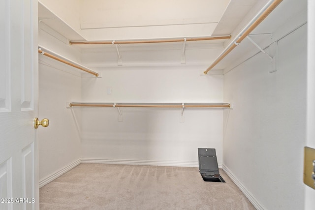 18 E Paint Your Wagon Trl, Phoenix, AZ 85085 - walk in closet with carpet floors