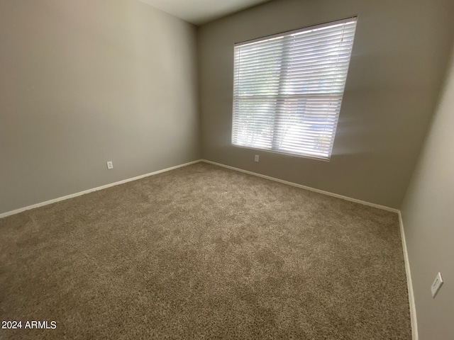 unfurnished room with carpet flooring