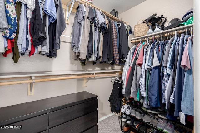 spacious closet featuring carpet flooring