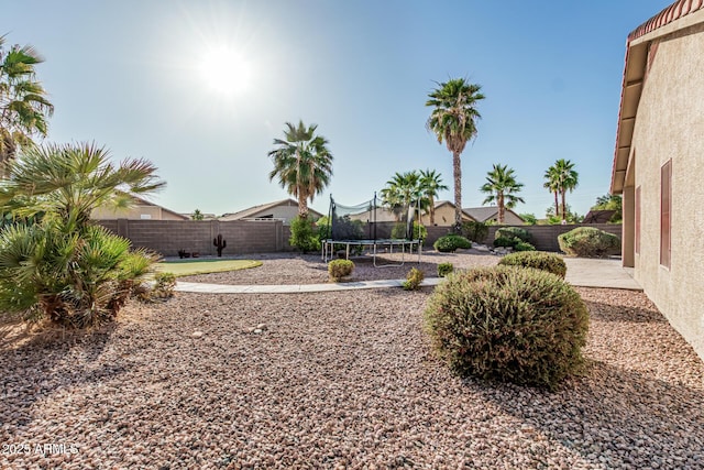 19576 N Portarosa Ct, Maricopa, AZ 85138 - fenced backyard featuring a trampoline and a patio area