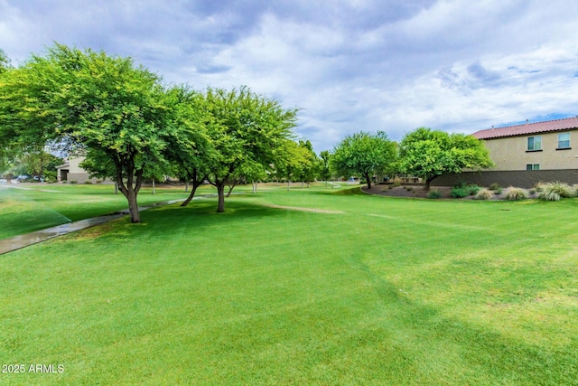 19576 N Portarosa Ct, Maricopa, AZ 85138 - view of green lawn