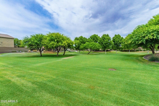 19576 N Portarosa Ct, Maricopa, AZ 85138 - view of grassy yard
