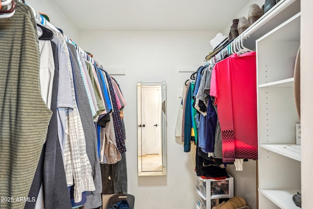 view of spacious closet