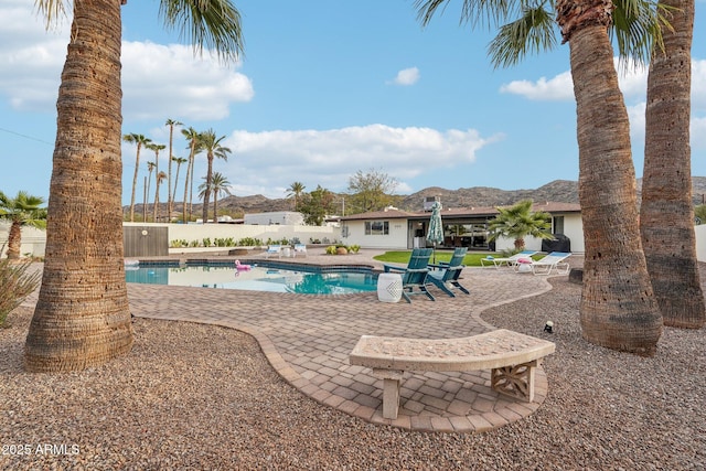 view of pool with a patio area