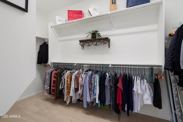 spacious closet featuring carpet flooring