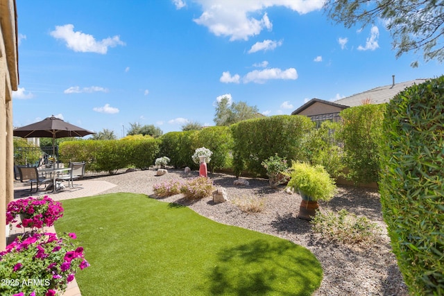 view of yard with a patio and fence