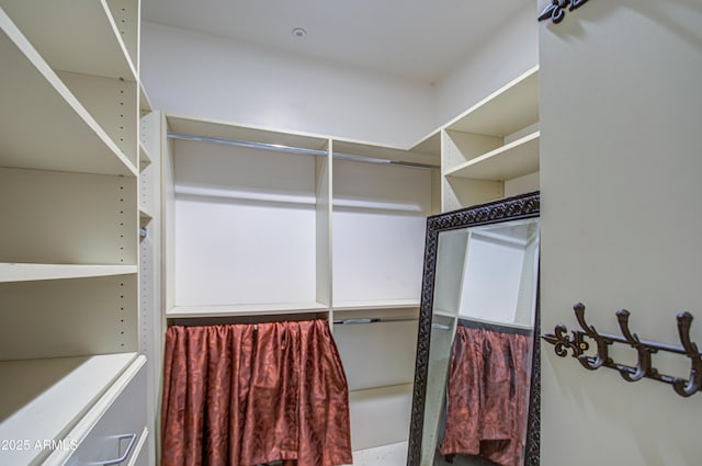 view of spacious closet